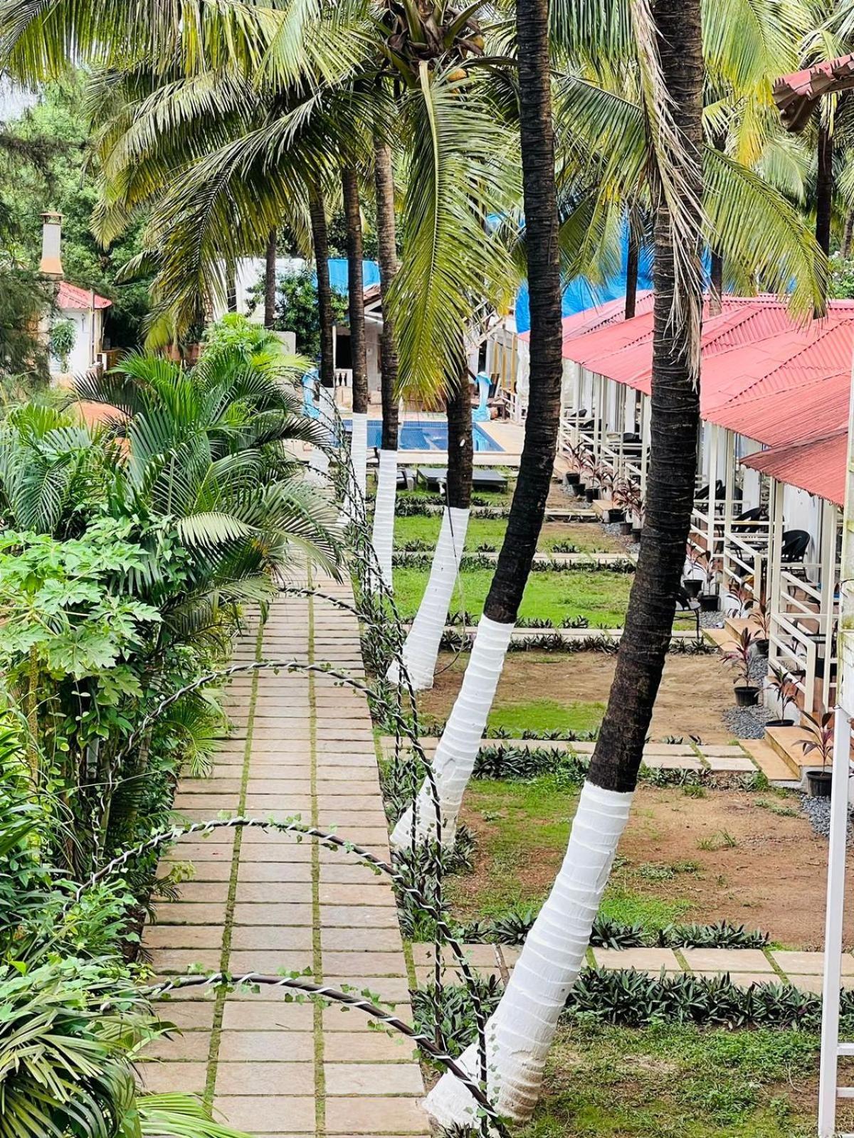 Arabian Sea Beach Resort Morjim Ngoại thất bức ảnh